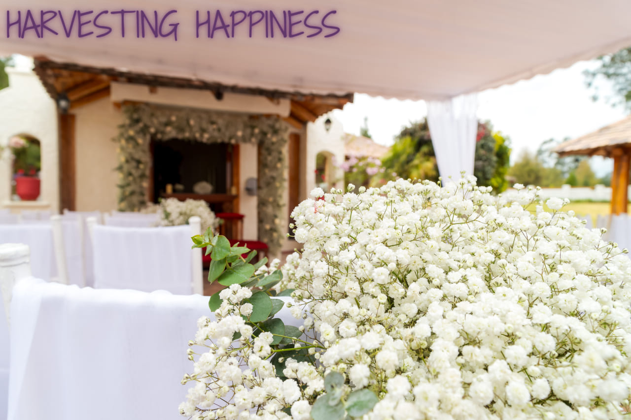 HARVESTING HAPPINESS 3