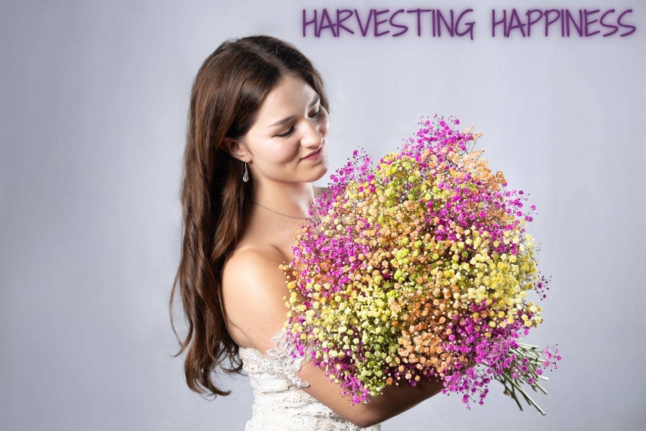 HARVESTING HAPPINESS 4